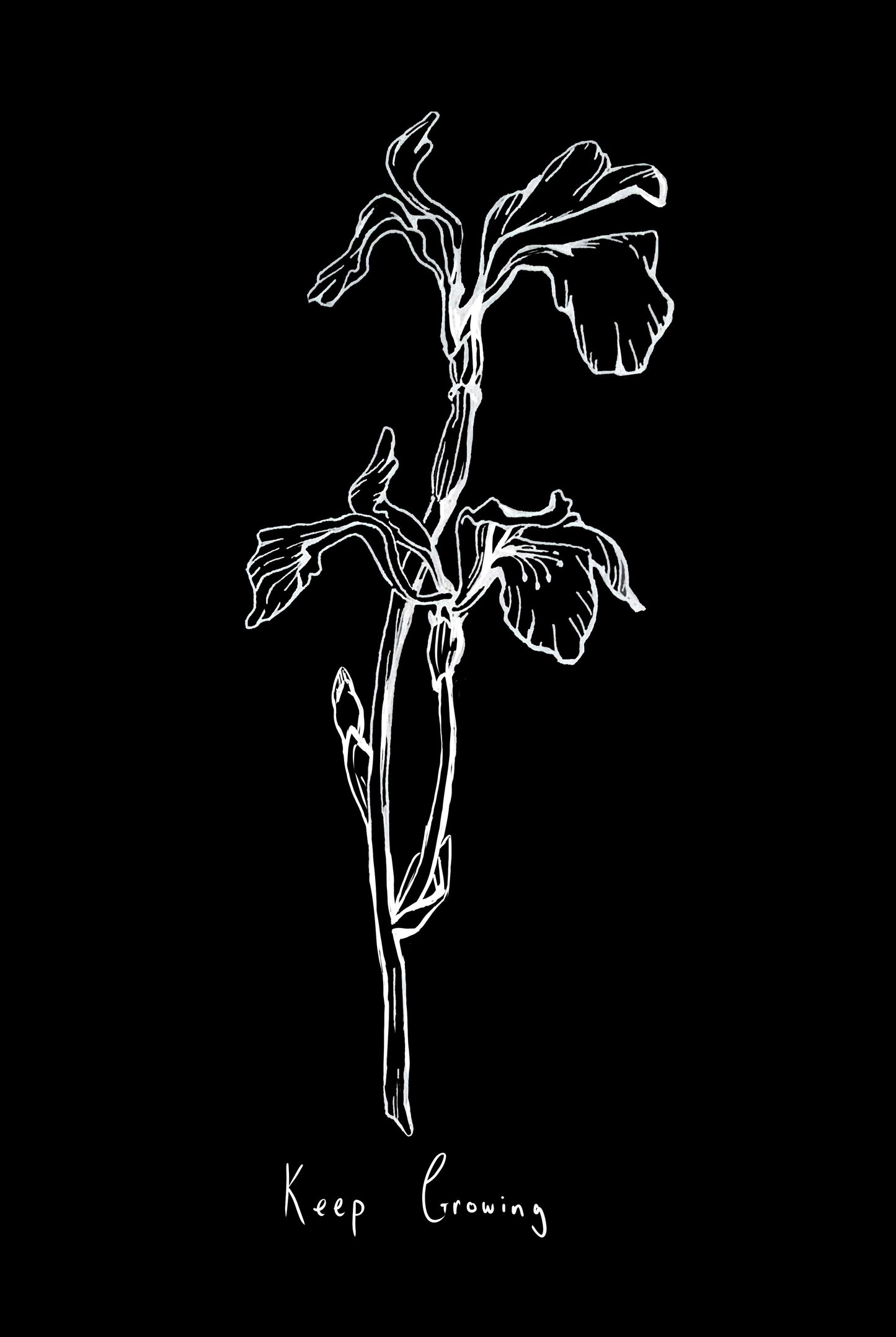 PHEOBE WIGGIN "keep growing" t-shirt